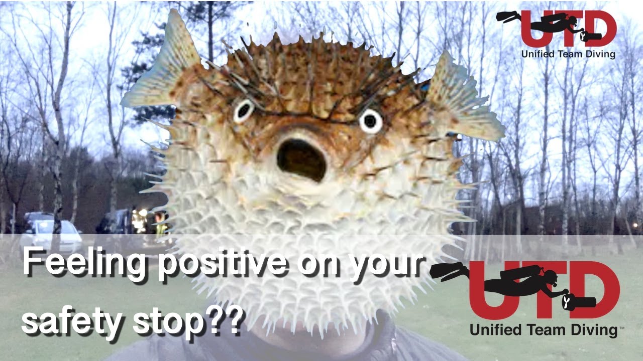 Need more weight to stay at your safety stop? Find out!