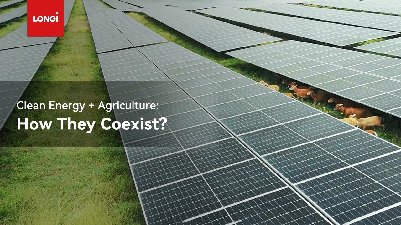Clean Energy + Agriculture: How They Coexist？