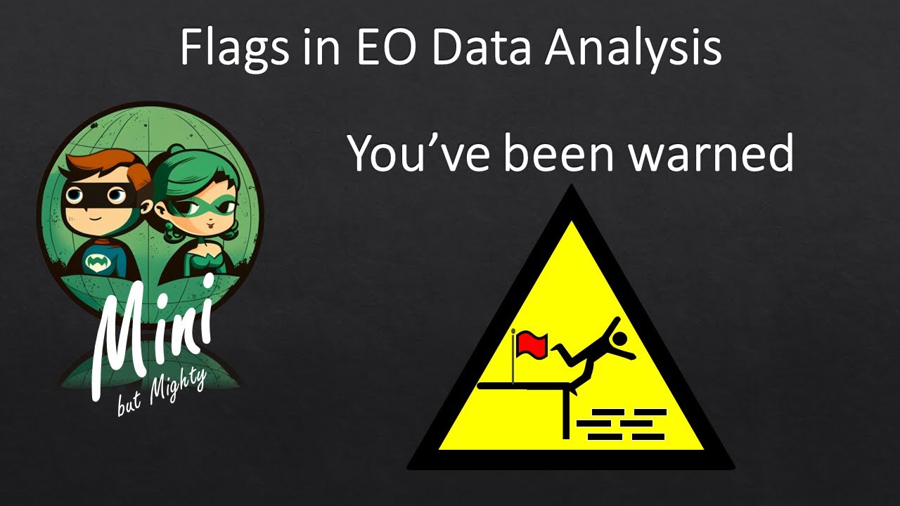 EOMMini - The Importance of Flags