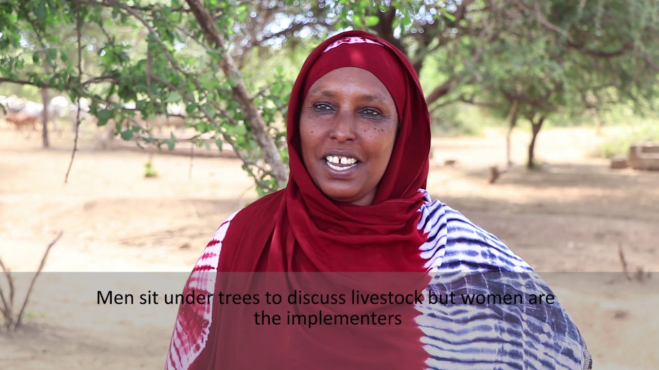 From cows to camels: How pastoralists are adapting to climate change in Kenya's drylands