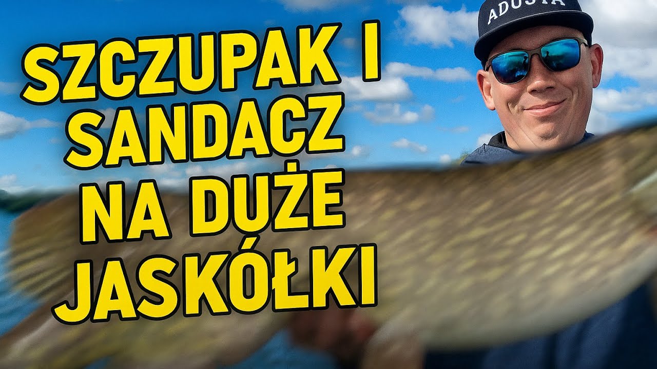 Szczupak i sandacz na duże jaskółki