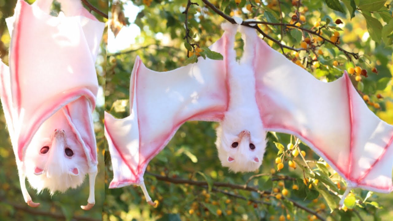 DIY Bat Art Doll Tutorial