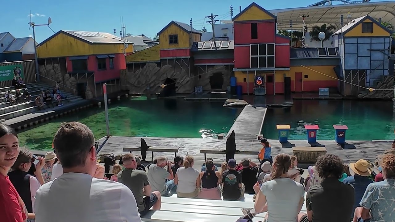 Sea World Seal Guardian Show 190525