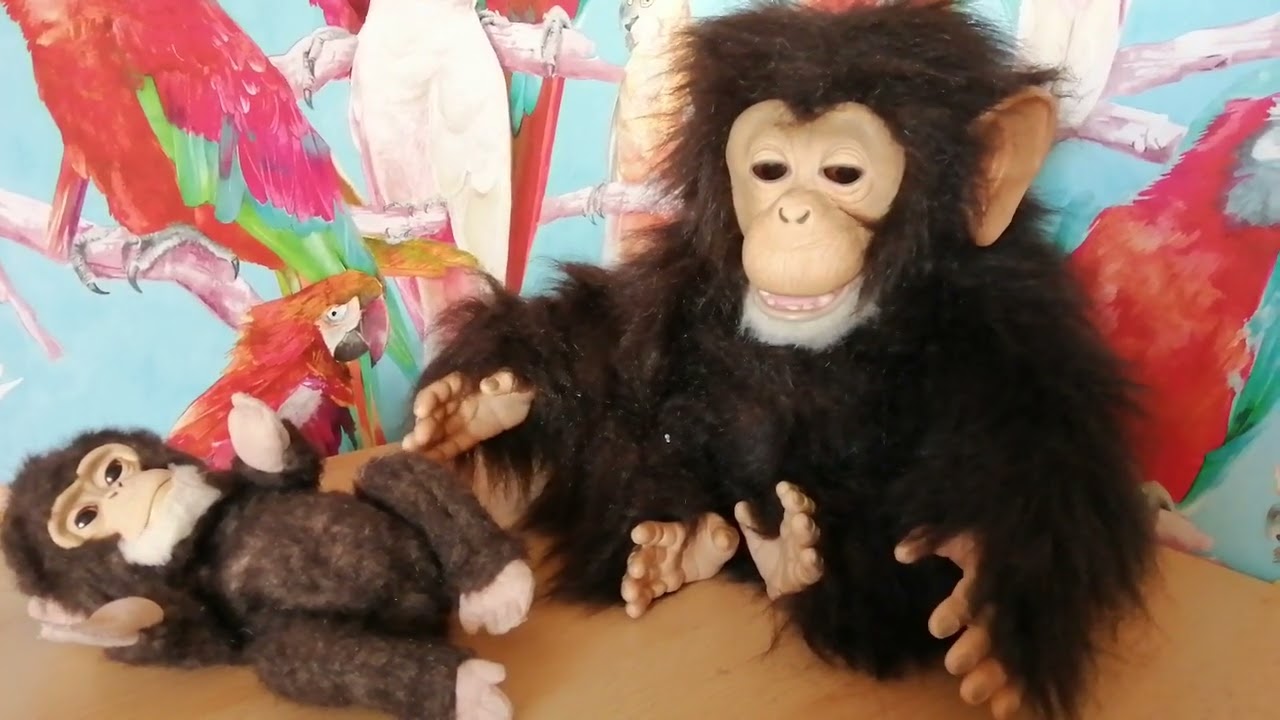 Furreal monkey Chimp with baby, part faulty, mechanics stuck sometimes