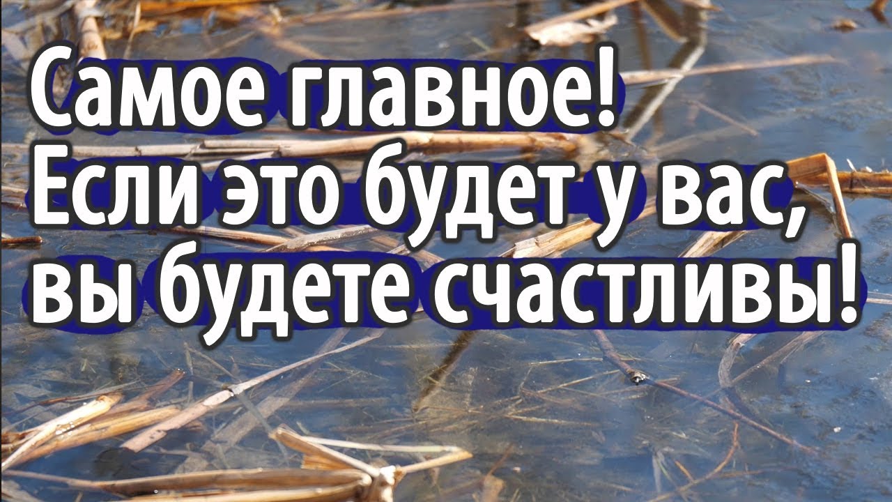 Как обрести ДУШЕВНЫЙ МИР? Не раздражаться. Пестов