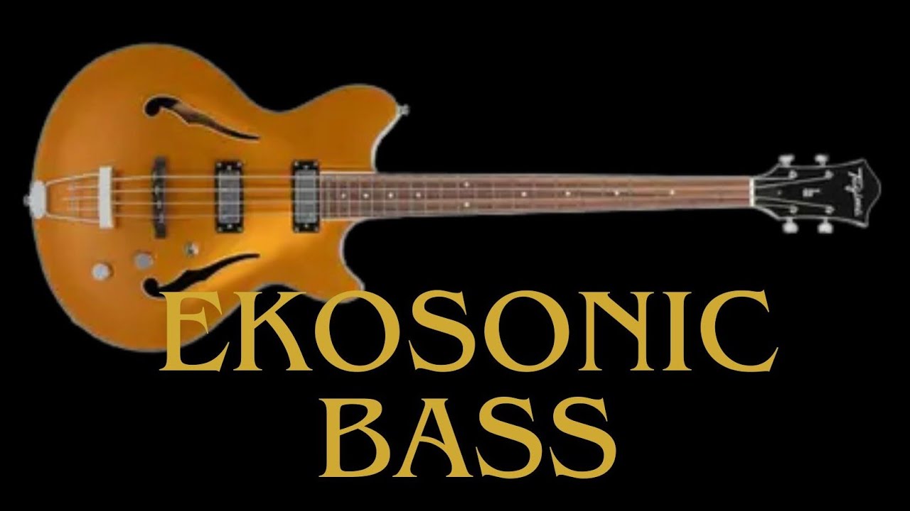 Review - Tagima Ekosonic Basa