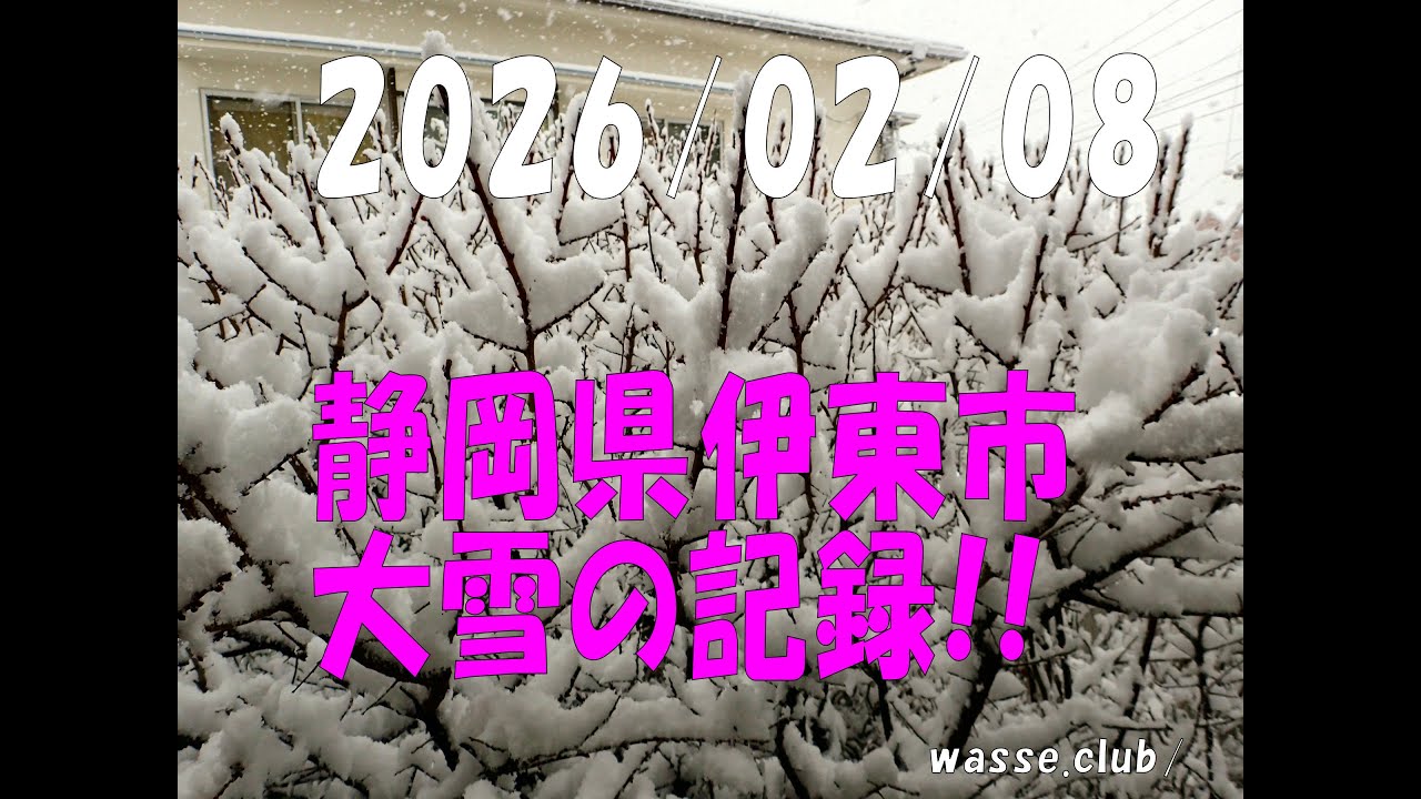 伊東市大雪20260208