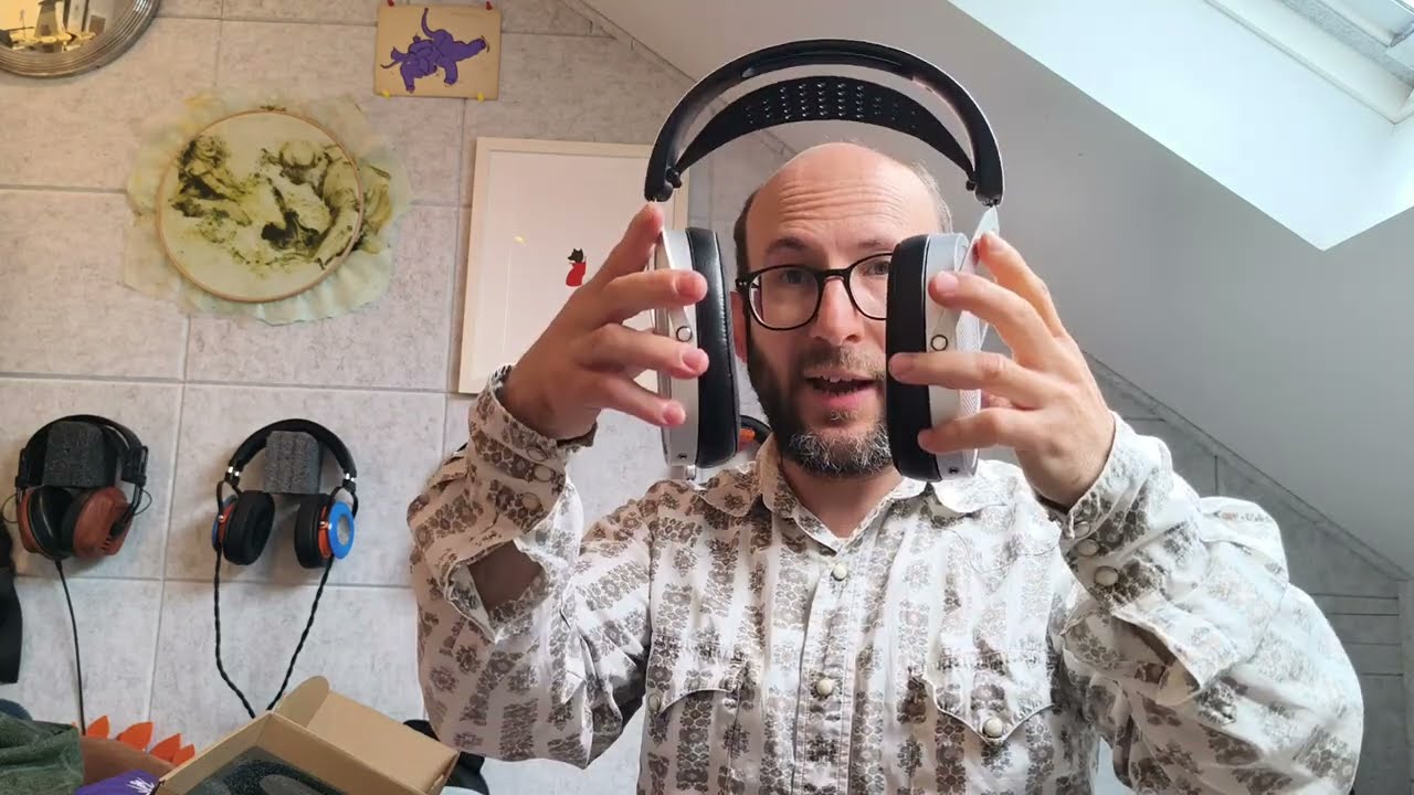 Hifiman Edition XV! My first thoughts.