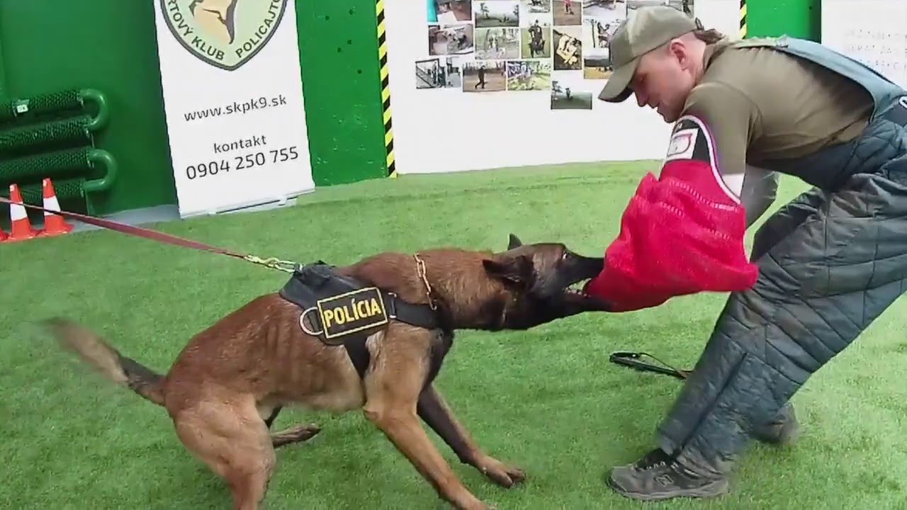 ŠKP K-9 kurz obrany