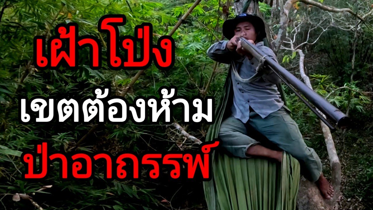 เฝ้าดินโป่ง !! เขตต้องห้าม !! ป่าอาถรรพ์ !! เสียงประหลาดใต้ไม้ !!!