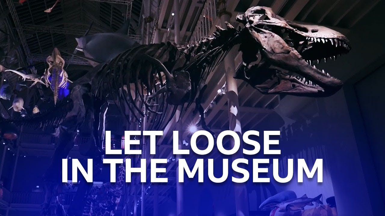 Dinosaurs And Other Amazing Creatures | One Night In The Museum | BBC Scotland