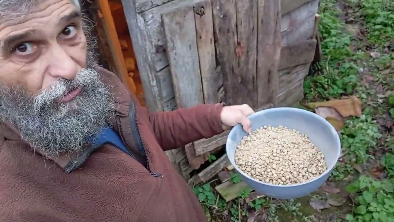 Ein schöner Morgen Selbstversorger Alltag in Ungarn