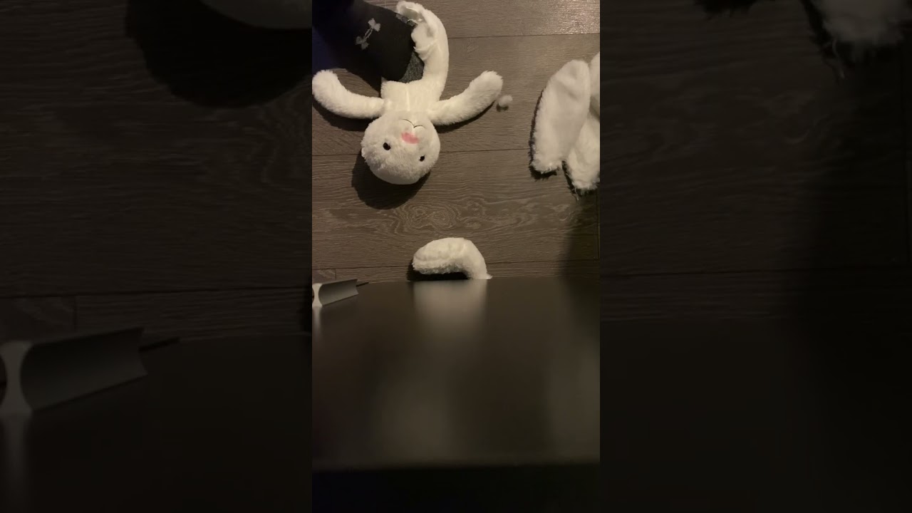 Ripping up a stuffed rabbit