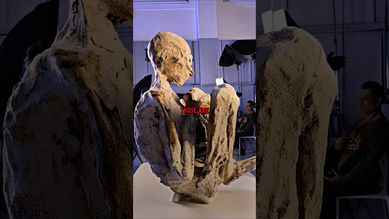 Tridactyl Mummies or New Alien Species? - Joe Rogan & Garry Nolan