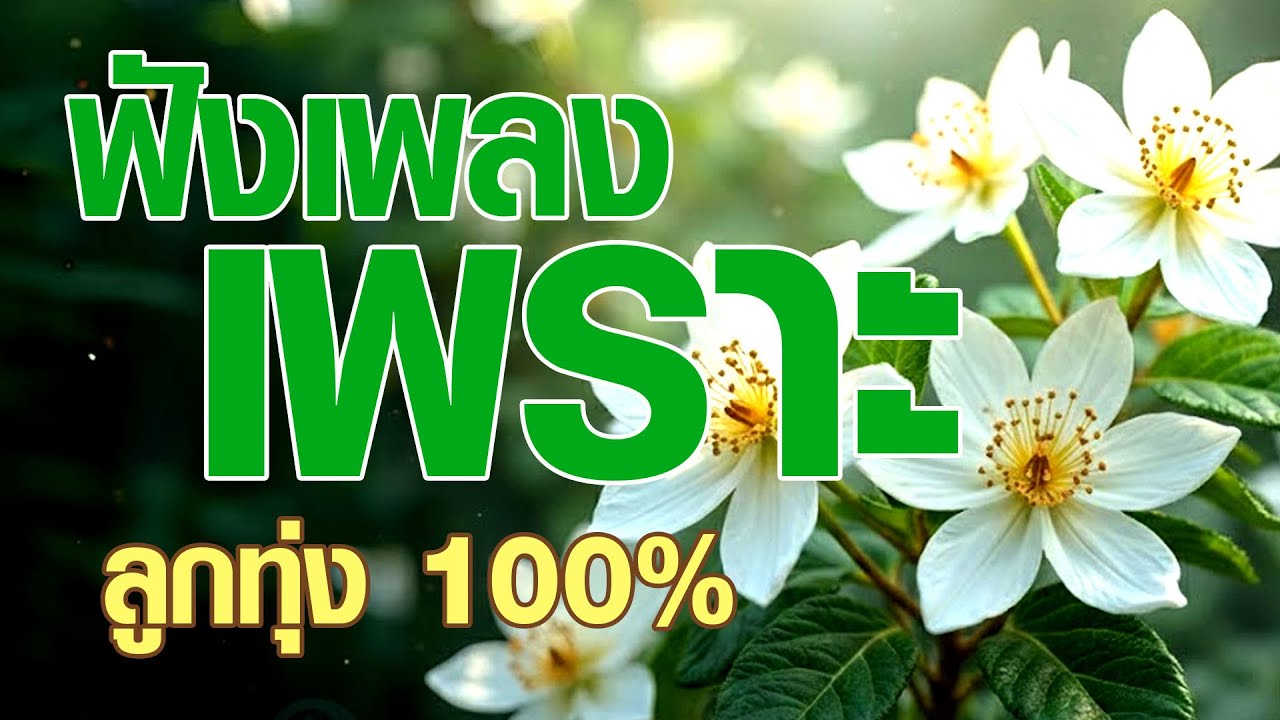 ลูกทุ่ง ฟังเพลงเพราะ ลูกทุ่ง100 %   #รวมเพลงลูกทุ่งฟังเพราะ