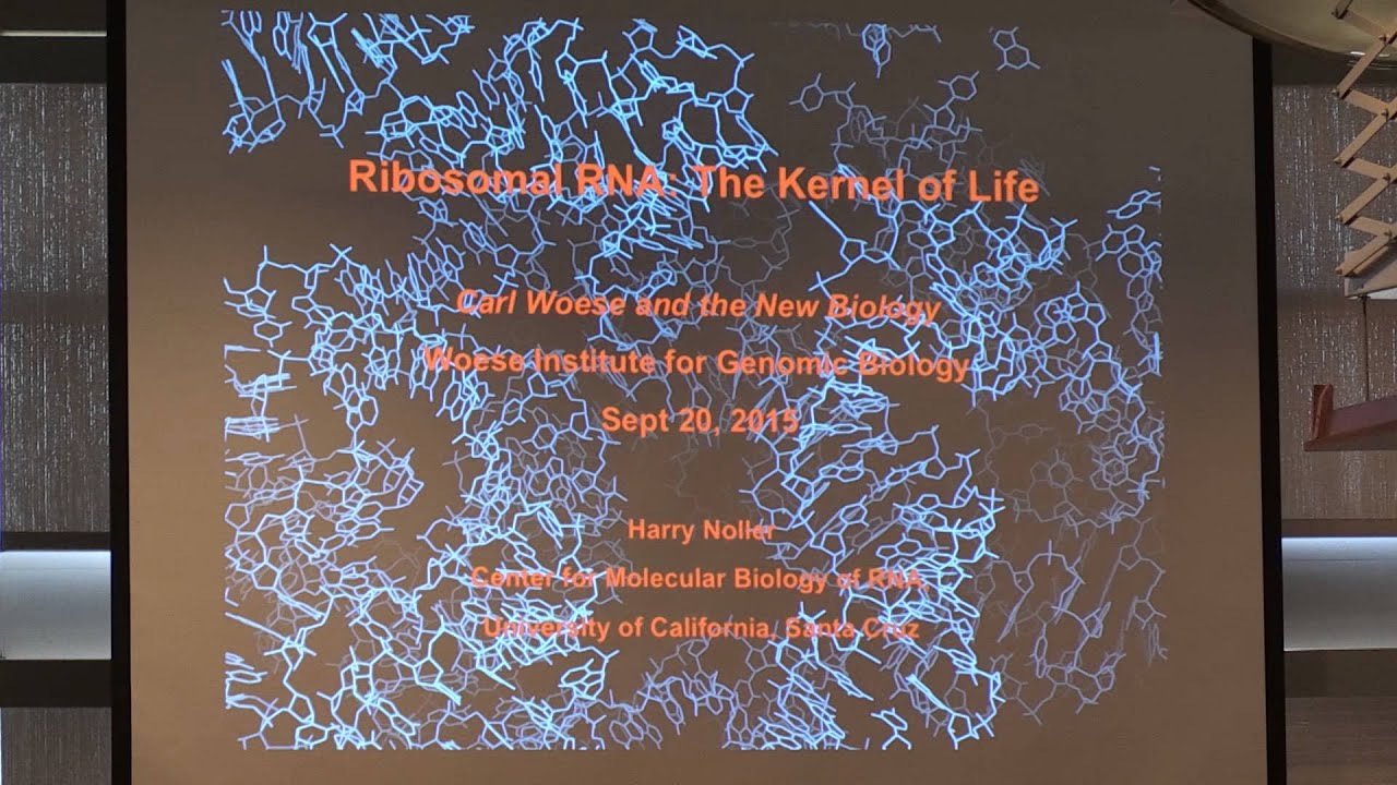Ribosomal RNA: The Kernel of Life - Harry Noller, University of California, Santa Cruz
