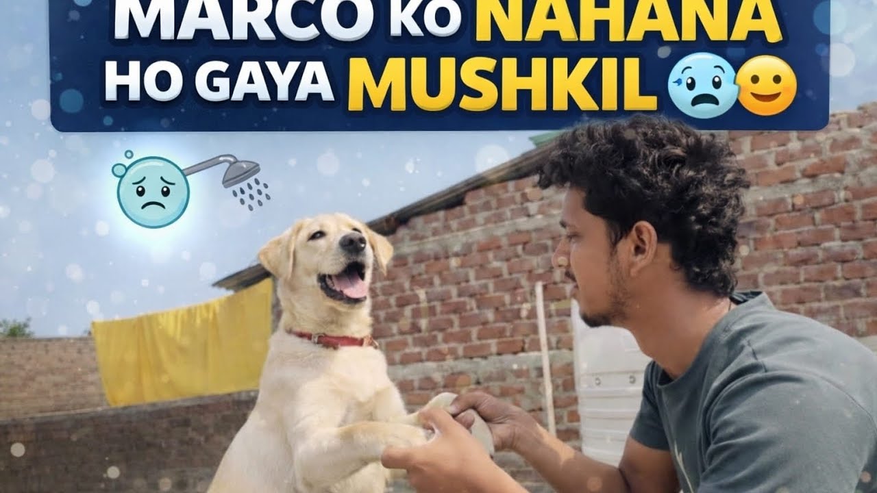 Marco ko Nahana Hua Mushkil 😧😂 | Funny Dog Bath Vlog 🐶💦 