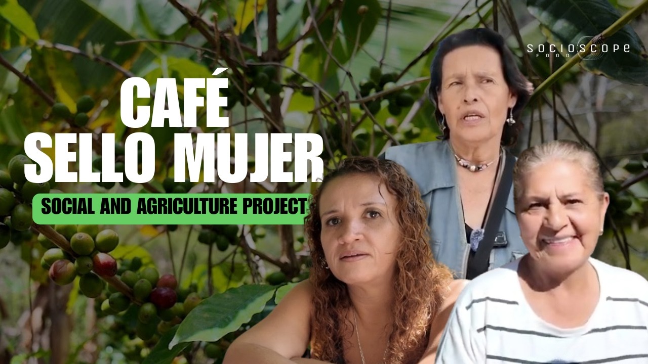 Colombian Women Grow, Roast and Export Coffee &ndash; Caf&eacute; Sello Mujer (Caicedonia, Colombia)