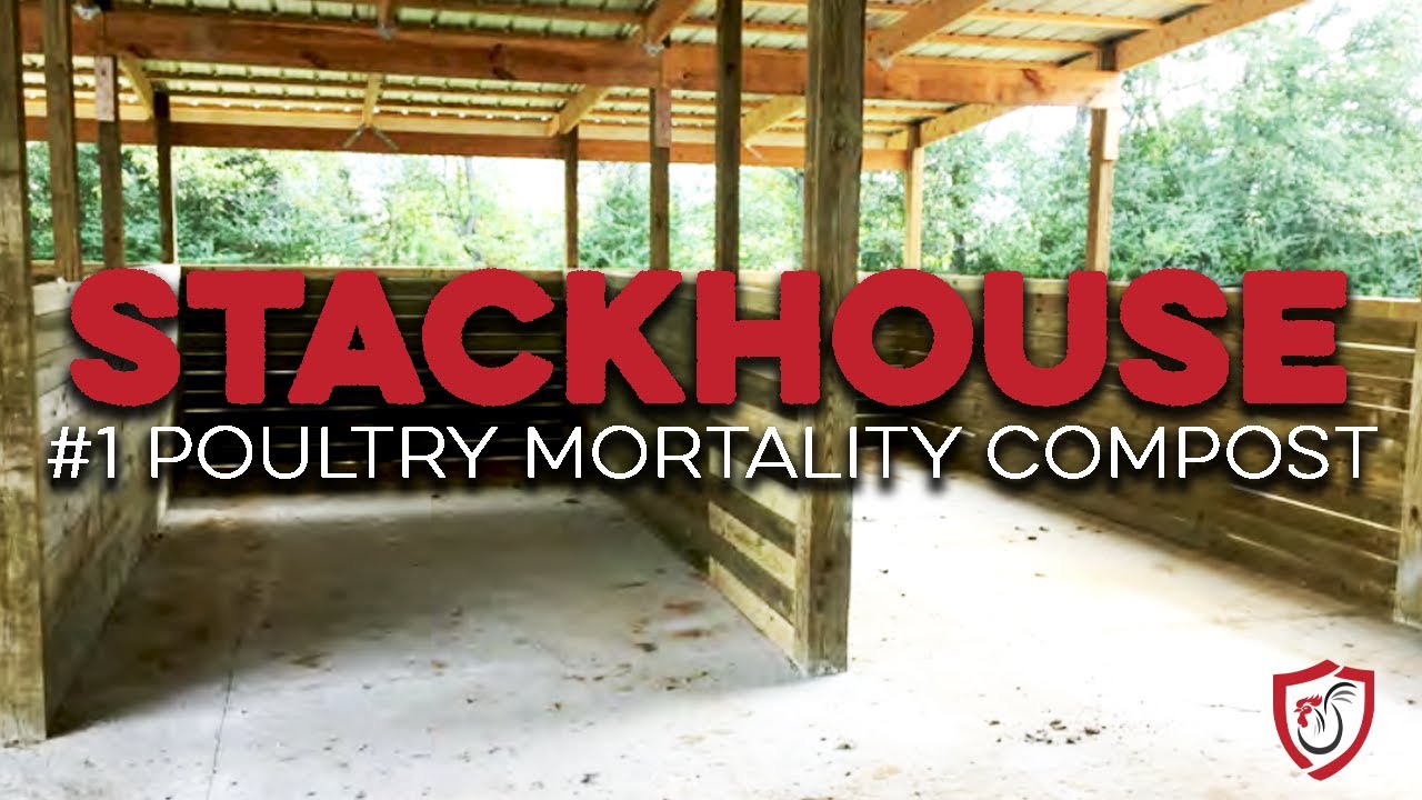 NO MORE DIGGING PITS FOR YOUR POULTRY MORTALITY