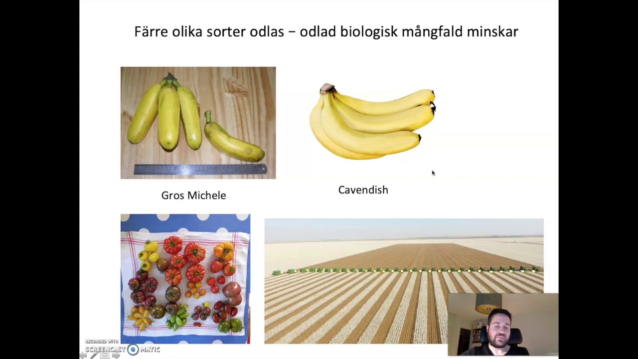 F&ouml;r&auml;dling och polyploidisering