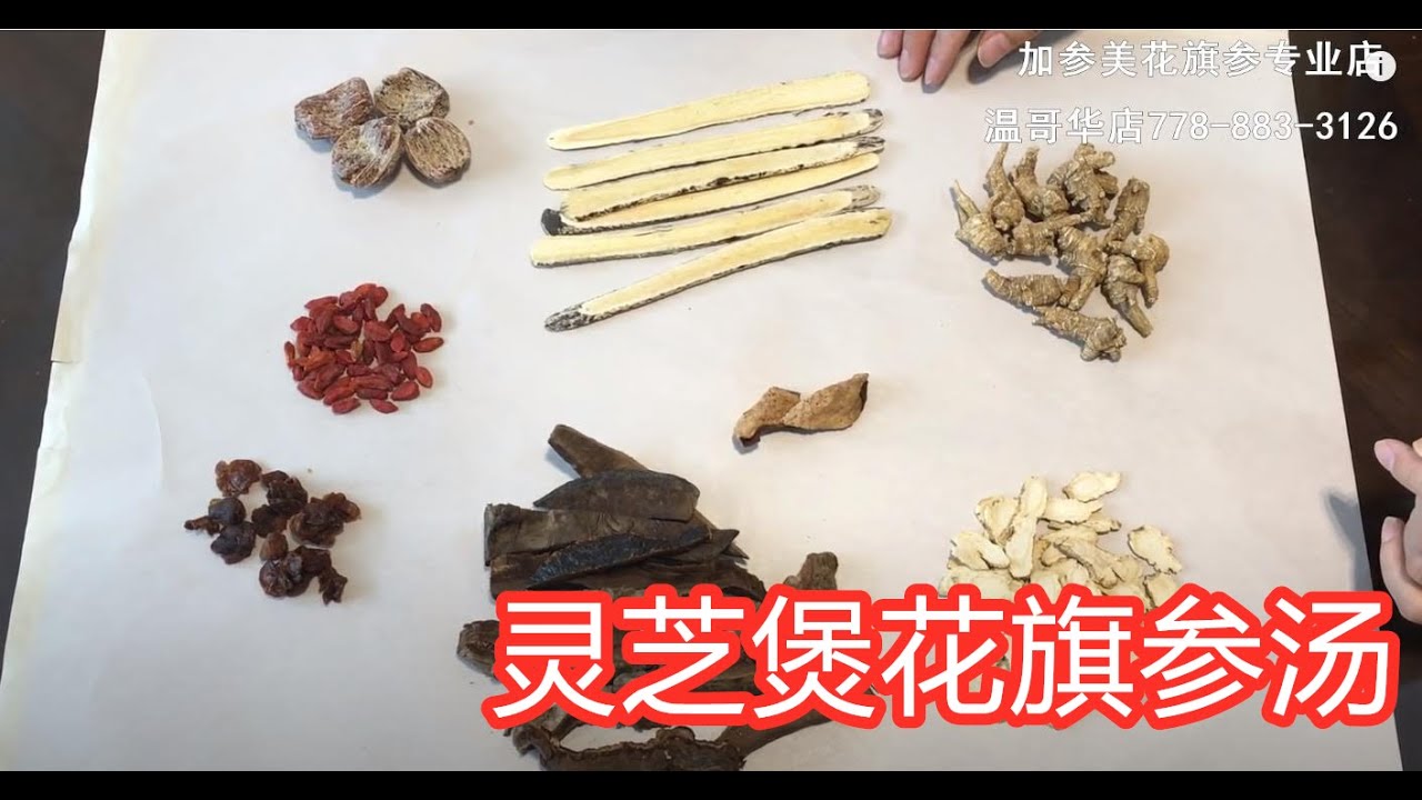灵芝煲花旗参汤—【Maybel话你知】Ganoderma lucidum &Ginseng soup