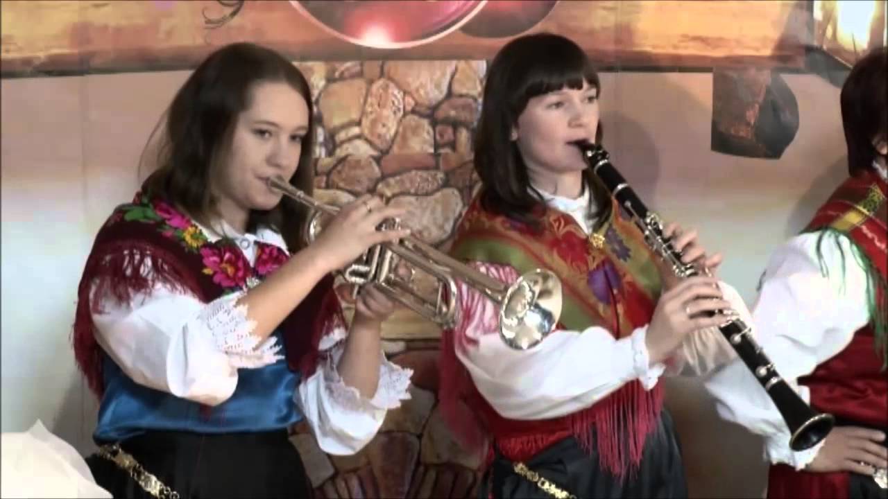 ANSAMBEL HERVOL    POZABIMO NA VSE