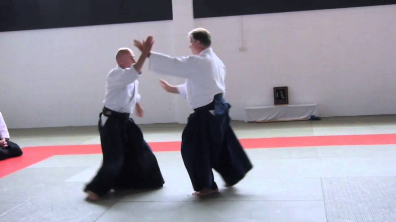 Aikido Seminar with Jan Nevelius Sensei