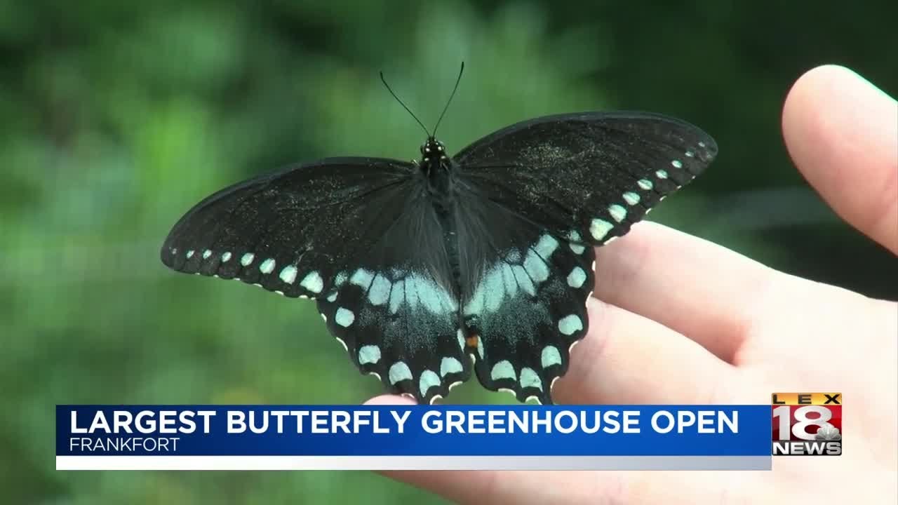 Largest Butterfly Greenhouse Open