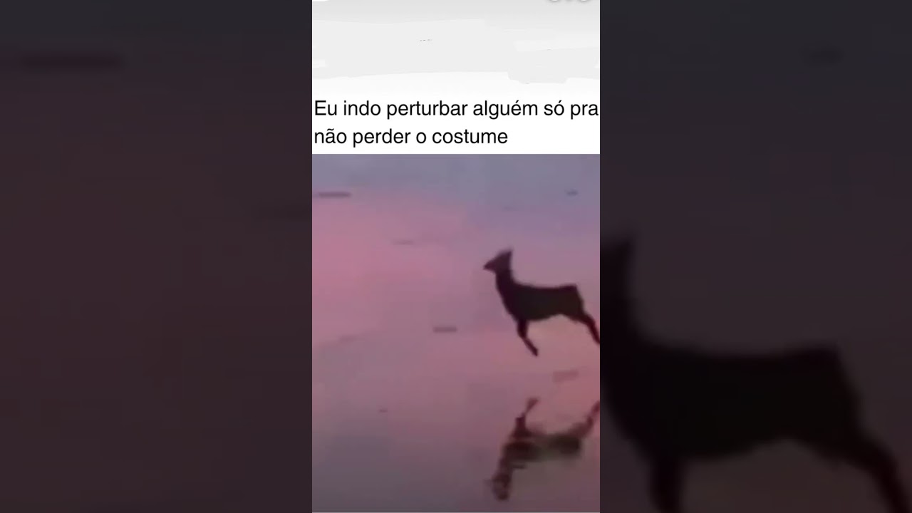#edit