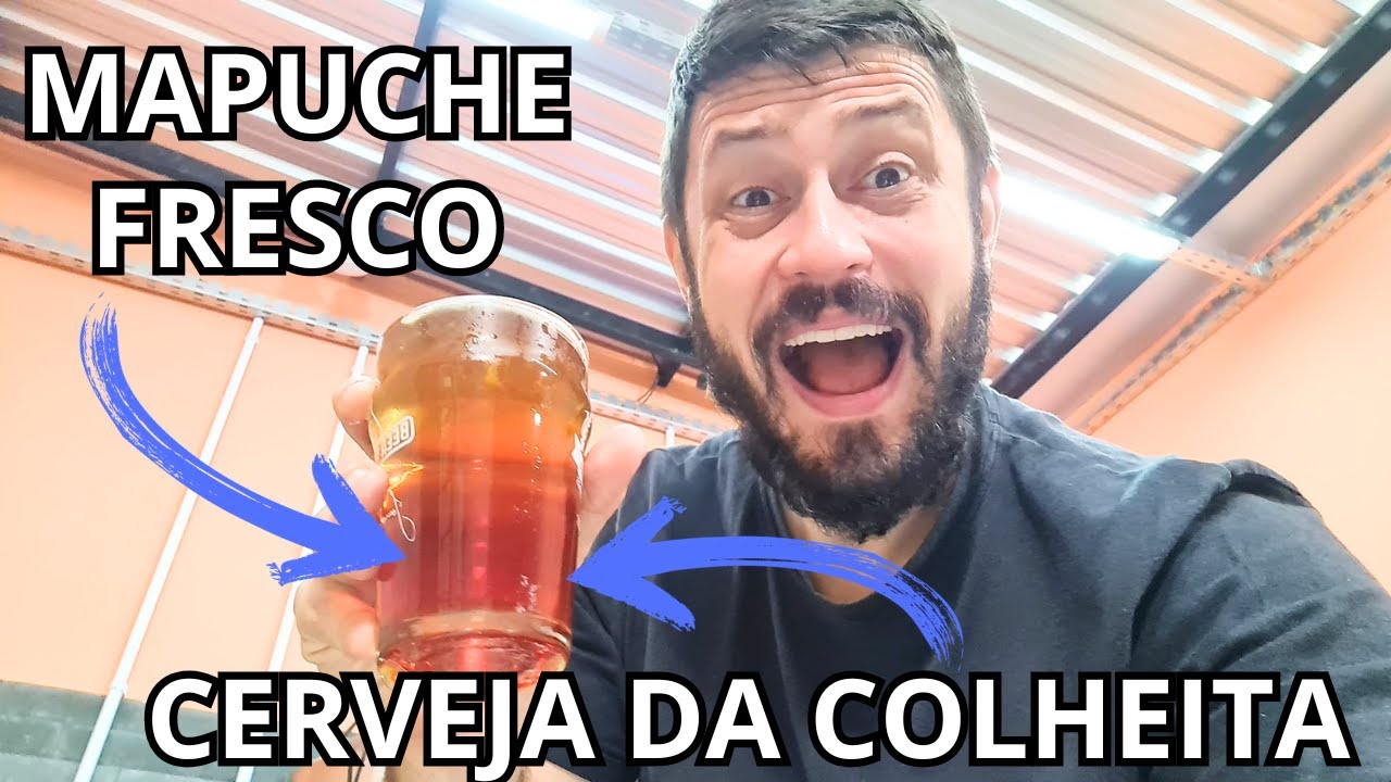 Como é cultivado, colhido e processado o lúpulo no Brasil