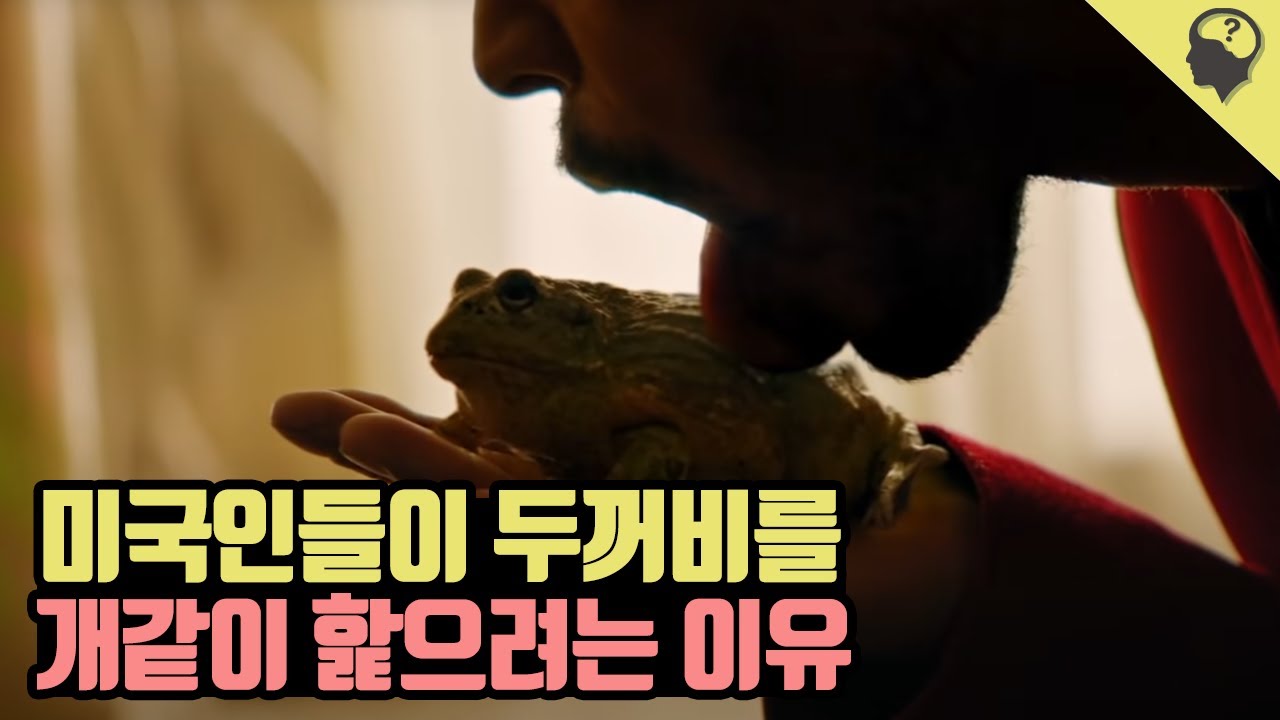 두꺼비를 핥으면 마약이 나온다? 미국인들이 환장하는 천연 환각제 '부포테닌' 이야기
