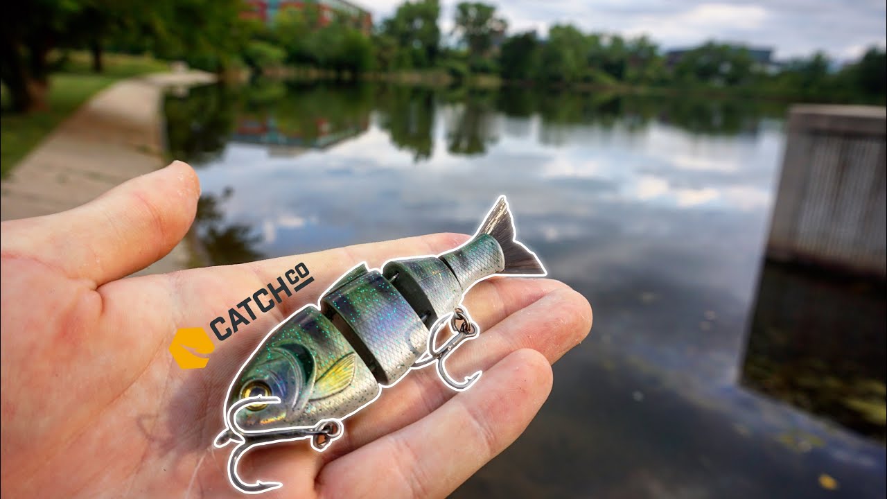 Fishing the BRAND NEW Legendary MINI SWIMBAIT!--Crazy Bites!!