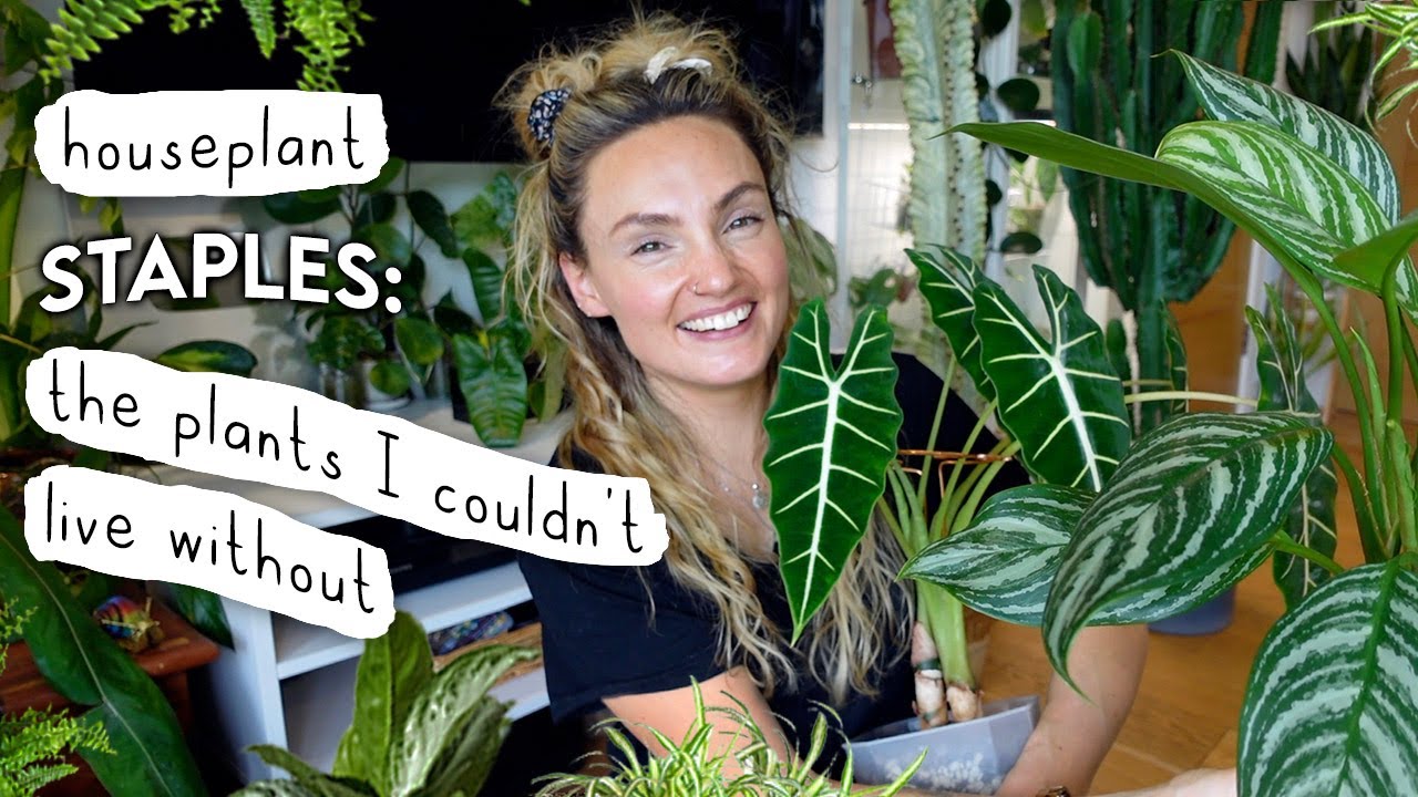 Plants I'd NEVER Part With 💚 Staple Houseplants In My 300+ Collection