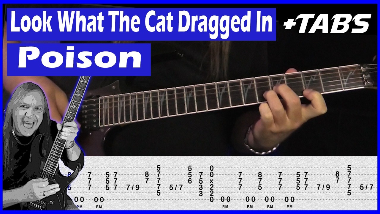 Look What The Cat Dragged In Guitar Lesson – Poison – Riffs, Chords & Solo + Tabs