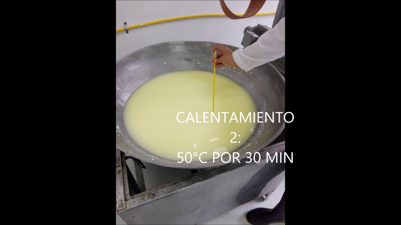 ELABORACI&Oacute;N DE QUESO GRUYERE
