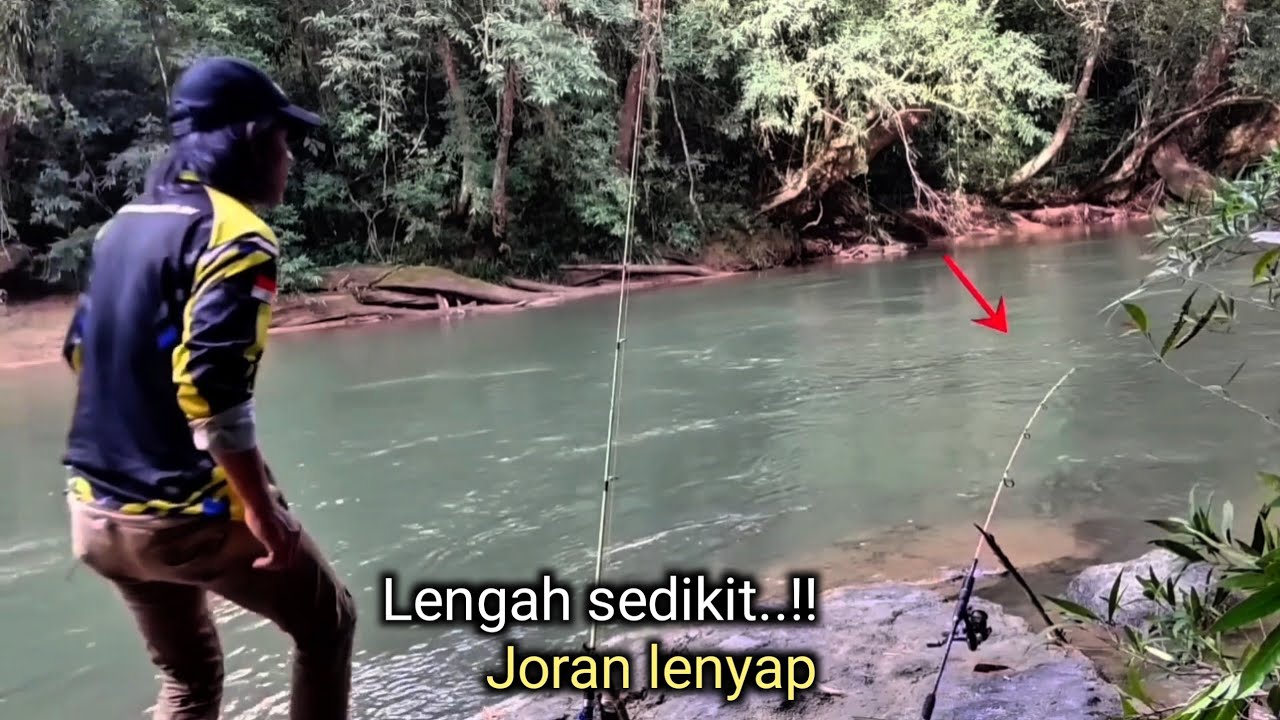 Gacor sekali..!! Mancing di sungai yang jernih
