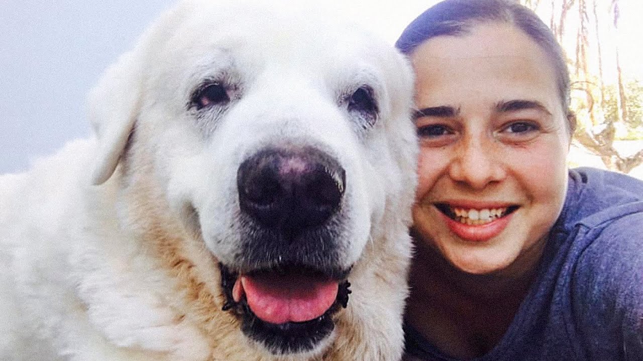 La chica que lo dejó todo para cuidar a los perros