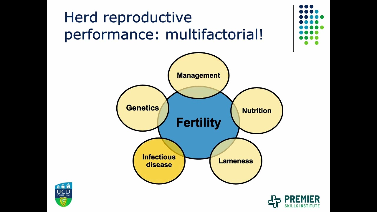 The herd aspect of fertility