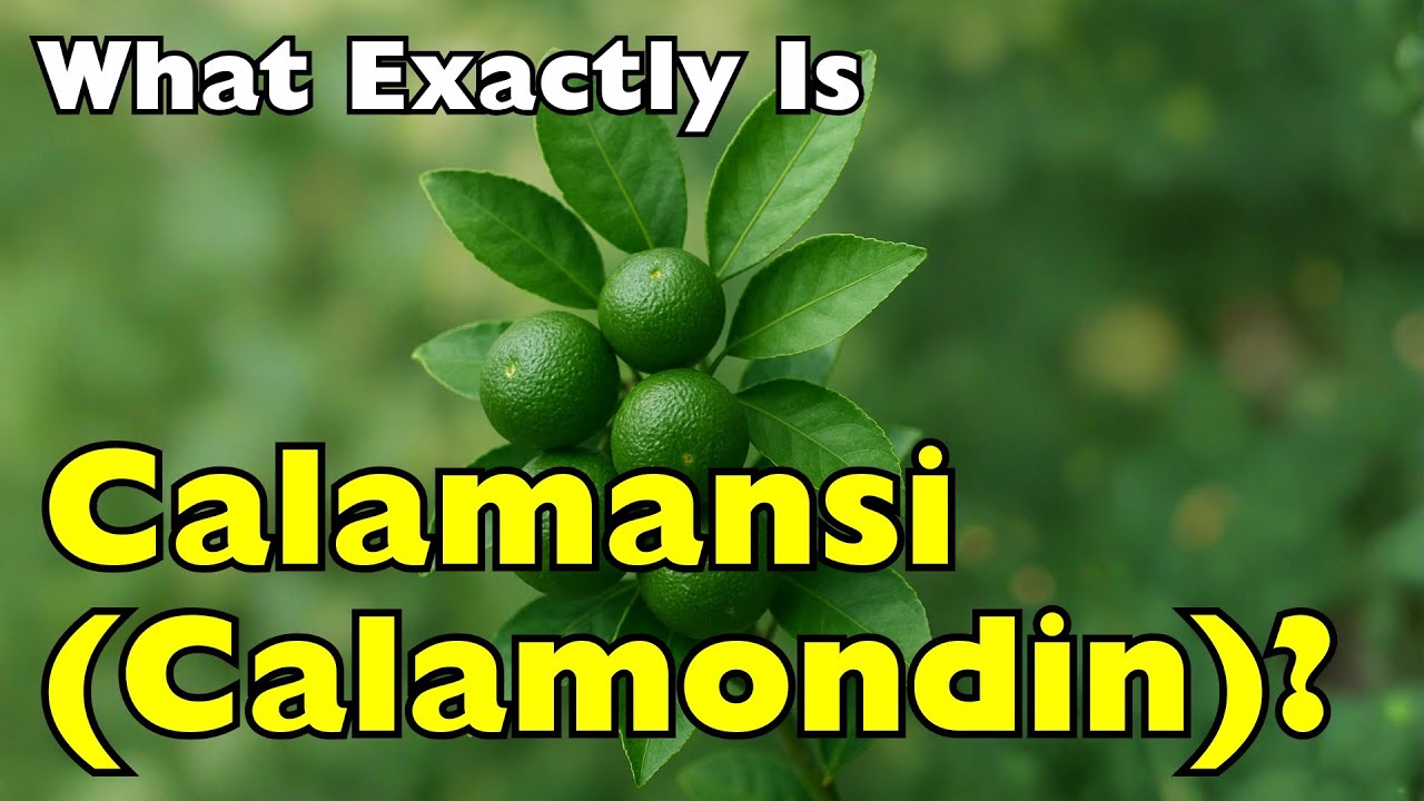 What Exactly Is Calamansi? The Tiny but Mighty Citrus at the Heart of Filipino Cuisine