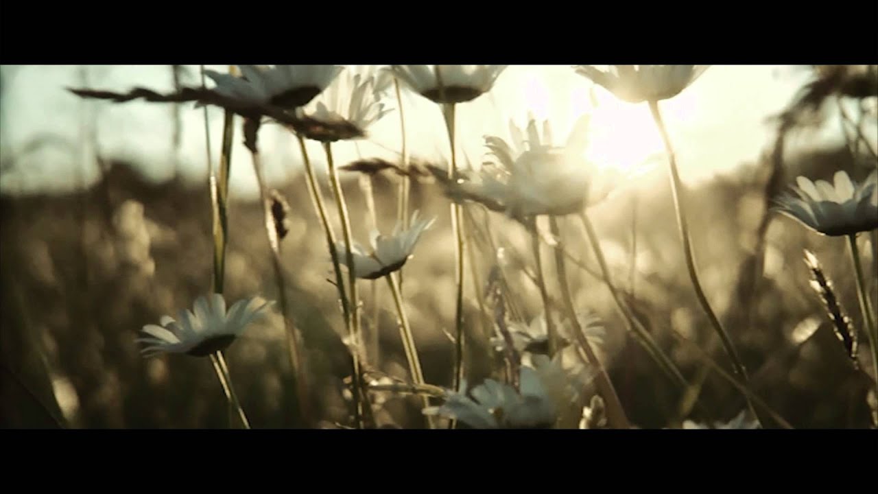 Against The Waves - I've Seen Brighter Days (Official Music Video)