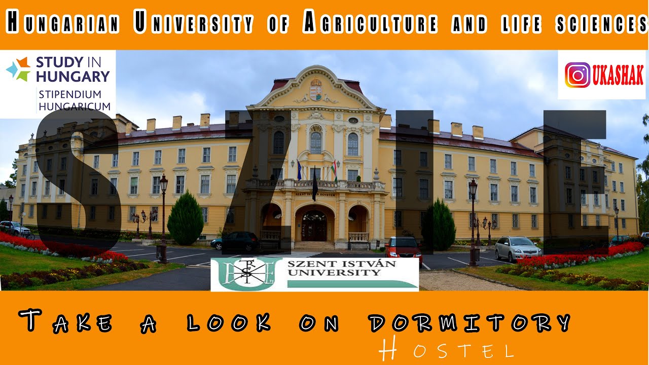 Szent Istvan Egyetem Kolligium | Dormitory | Hostel| Hungarian Universities Dormitory Basic models