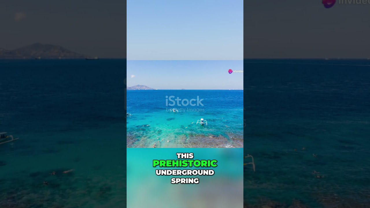 Discover Florida: History, Residents & Hotspots!