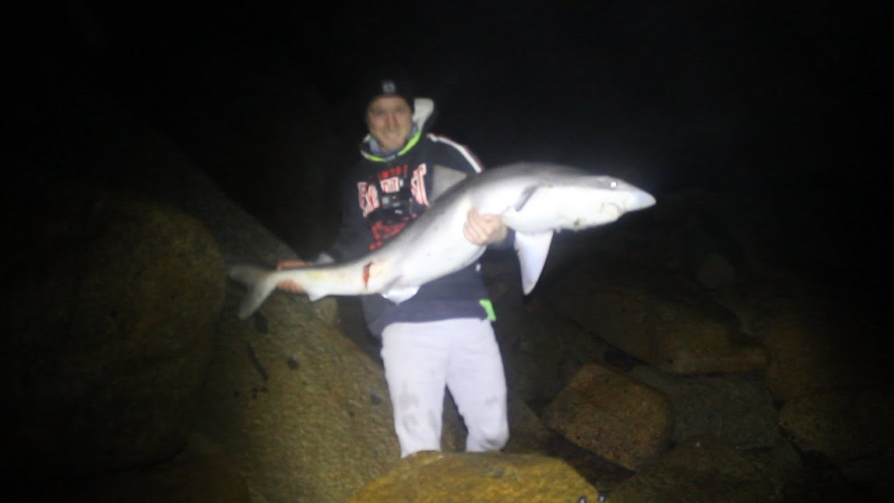 MEGA School Shark! Winter Rock Fishing South Australia