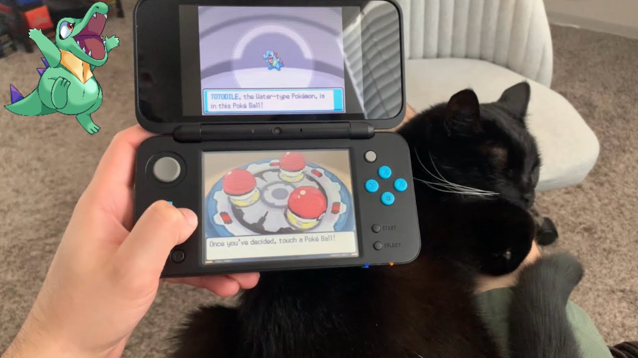 First Ever Shiny Hunt in Pokémon SoulSilver