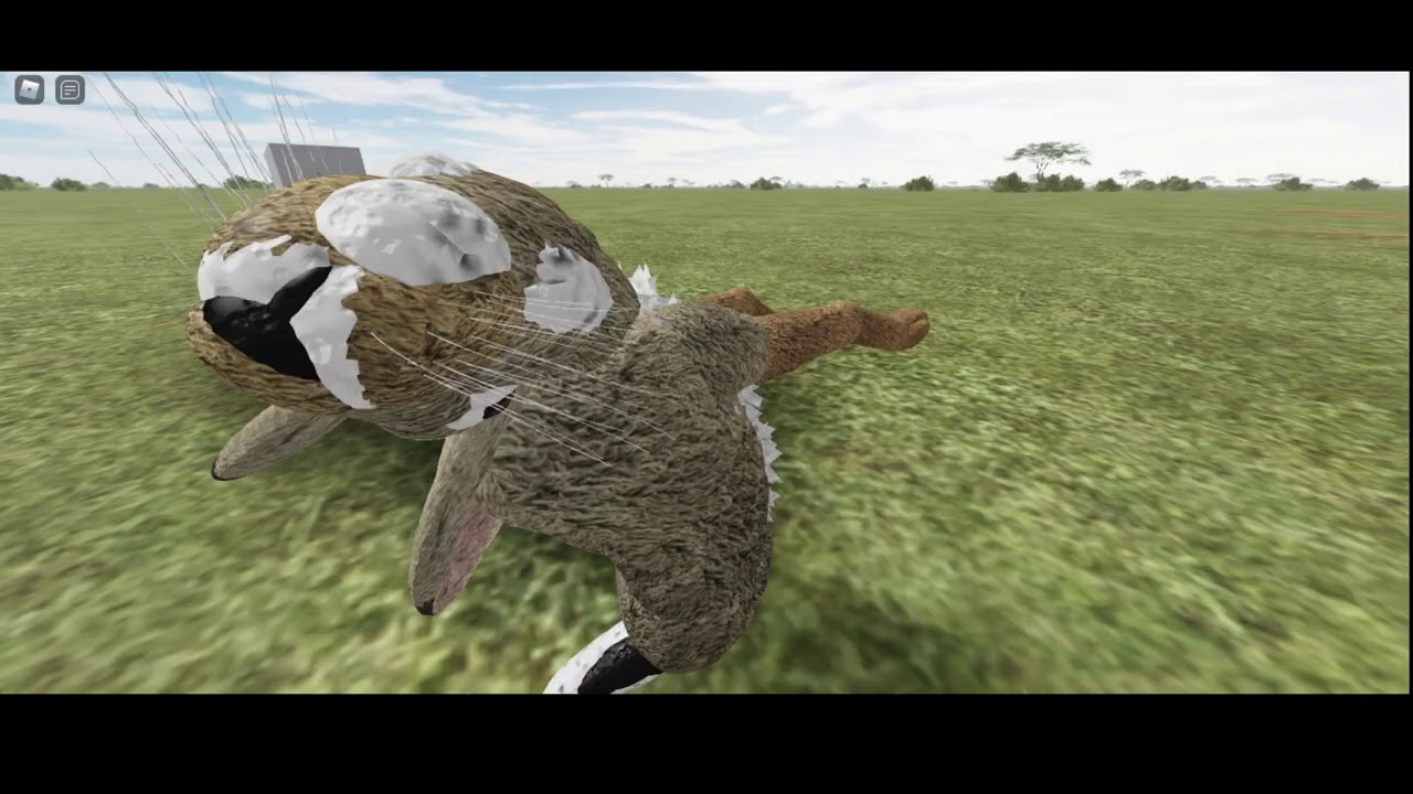 Animals Getting Hit by Giant Block
