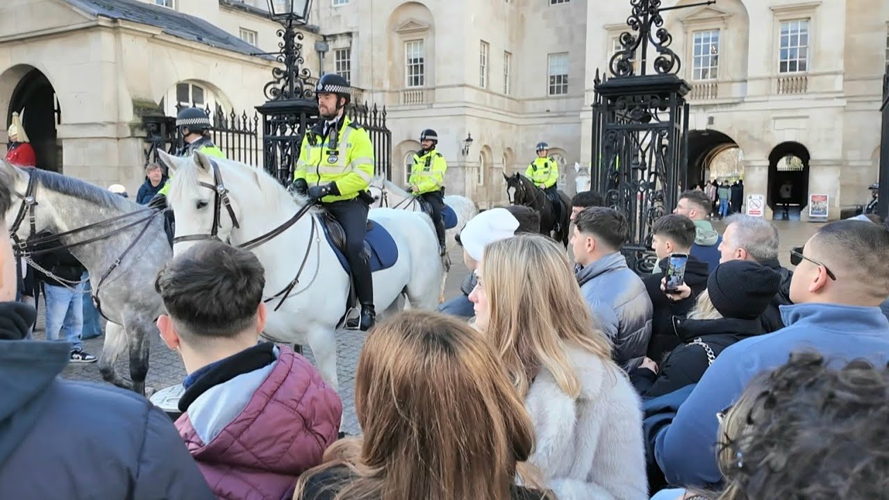 Everyone was watching, fascinated by the horse's beauty at Horse Guard, London