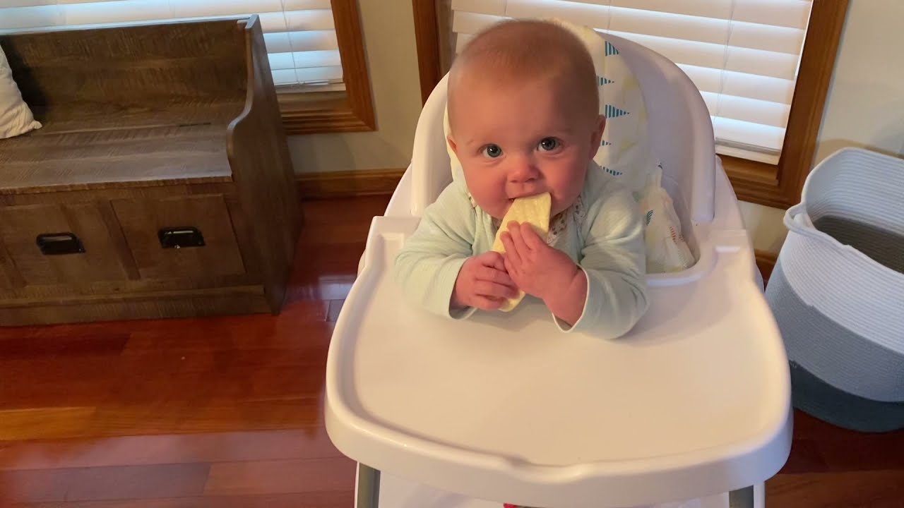Review of Dadouman Inflatable & Reversible Supporting Cushion for IKEA ANTILOP High Chair