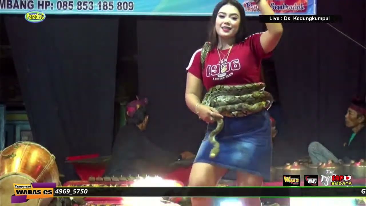 🔴📡LIVE Langen Tayub WARAS CS Pimp. Mas. Eko Supriyanto S.E Kedungdoro - Tembelang - Jombang