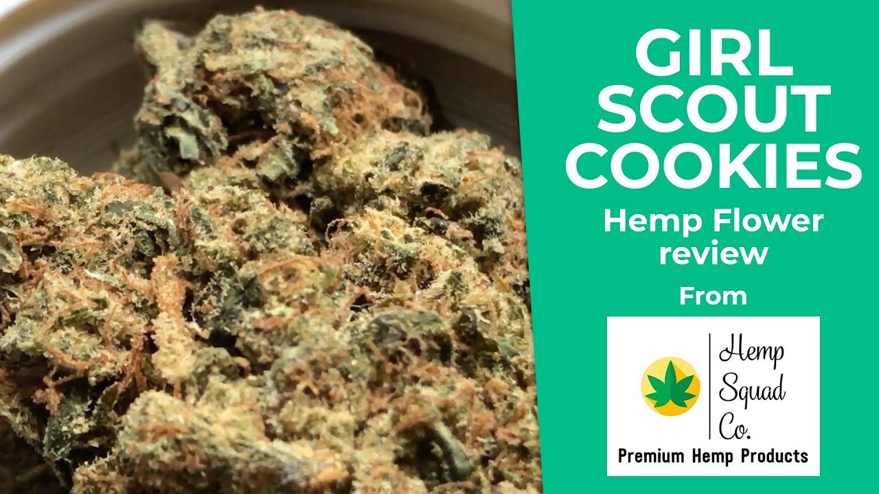 GIRL SCOUT COOKIES Cbd Hemp Flower! GSC | Hemp Squad Co. | Ep. 41