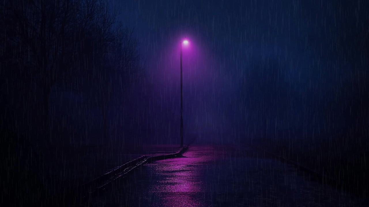 Midnight Rain on a Quiet Forest Road | Dark Night Ambience for Deep Sleep
